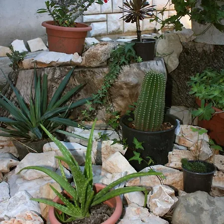 Appartamento 5741a Bibinje