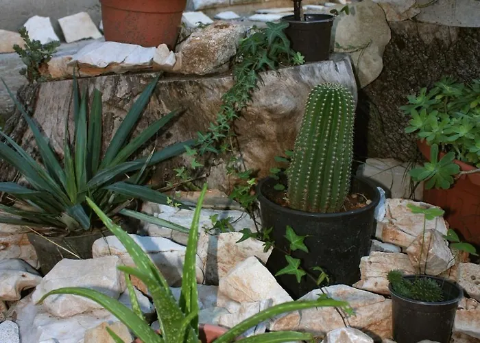 Appartement 5741a Bibinje